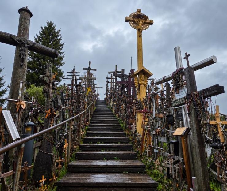 Išvyka į Kryžių kalną
